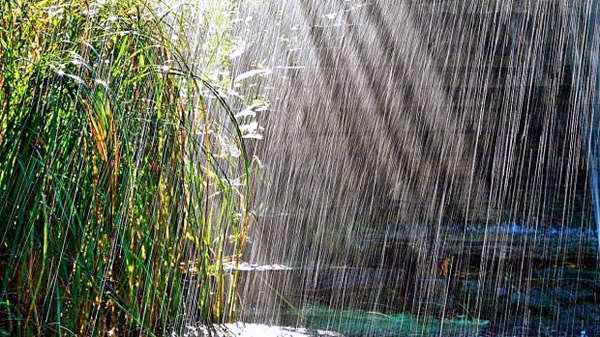 Crean en Cienfuegos Red Nacional de Hidrología Isotópica en Precipitaciones Crean en Cienfuegos Red Nacional de Hidrología Isotópica en Precipitaciones
