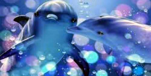 Revelan que delfines y ballenas tienen comportamientos similares a los humanos Revelan que delfines y ballenas tienen comportamientos similares a los humanos