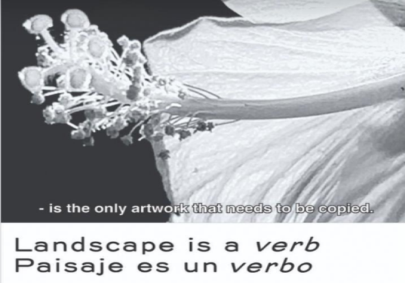 Landscape Is a Verb at the Servando Gallery