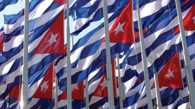 Cuba, as high and firm as the palm trees