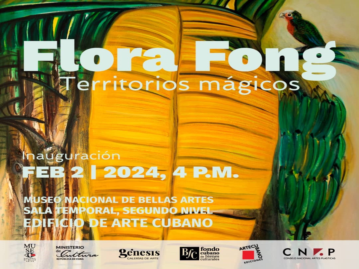 Magical Territories by Flora Fong Unveiled at Bellas Artes