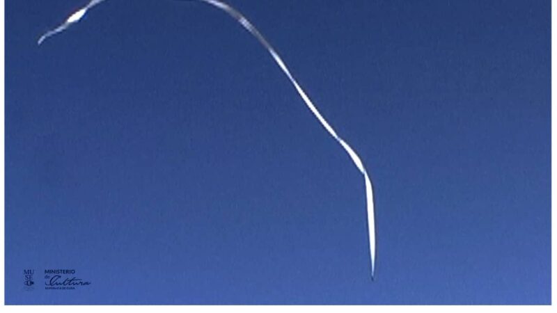 Felipe Dulzaides Makes His Bellas Artes Debut with La estrategia del bambú