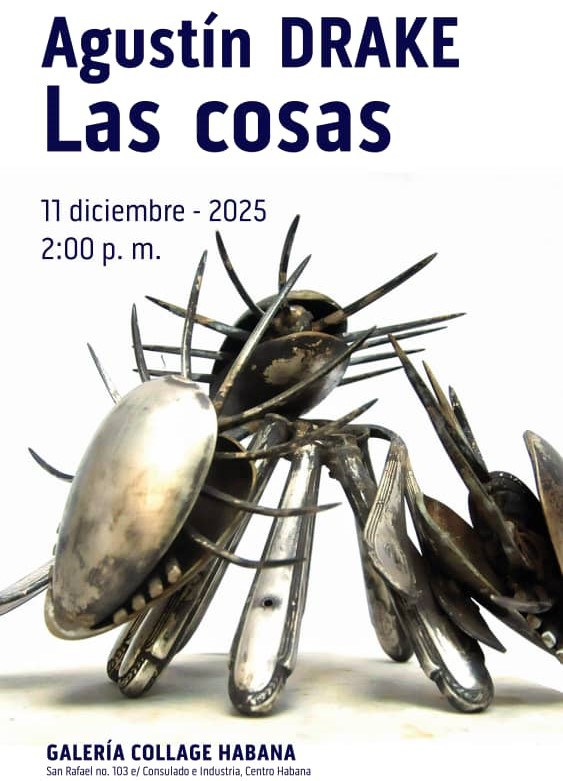 Collage Habana Gallery Opens Anthological Exhibition: Agustín Drake Las Cosas