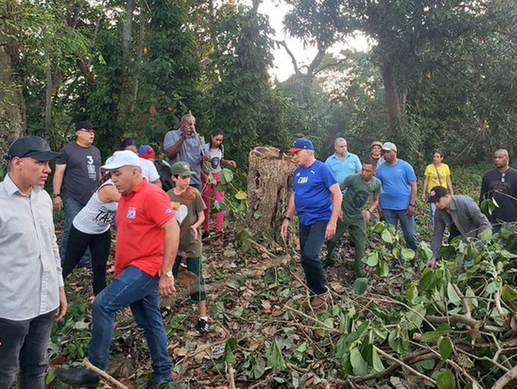 Le président cubain participe à une journée de travail bénévole Photo: PL 