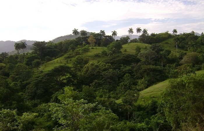 El culto a la naturaleza de los esclavos africanos en Cuba
