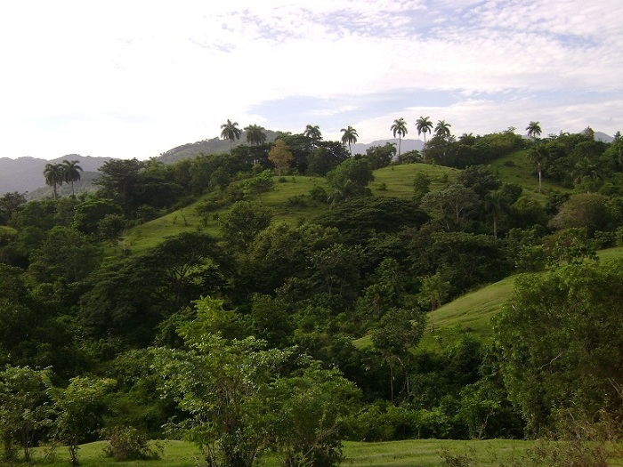 El culto a la naturaleza de los esclavos africanos en Cuba