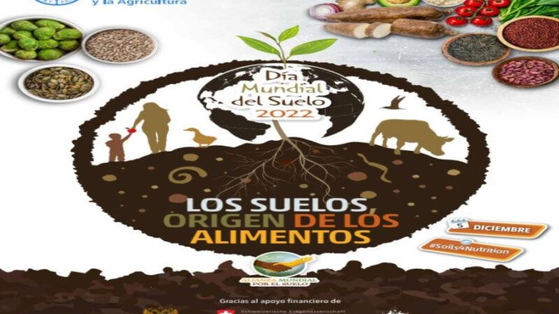Celebró Cuba Día Mundial del Suelo