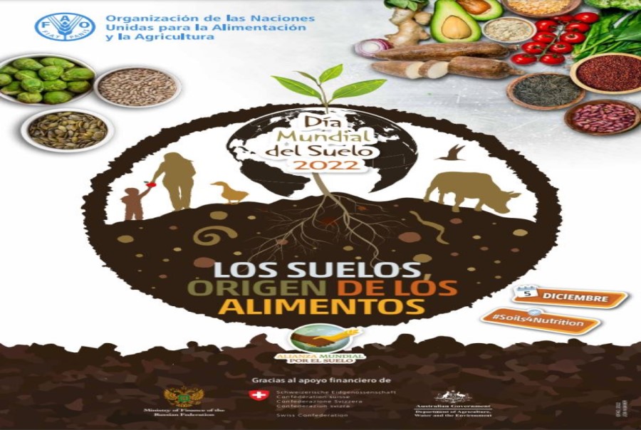 Celebró Cuba Día Mundial del Suelo