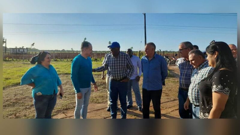 Vicepresidente cubano visitó campamento agrícola del proyecto social Quisicuaba
