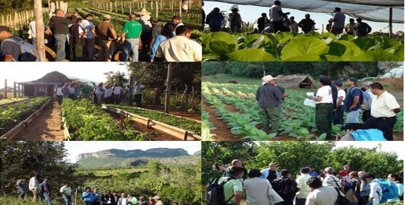 Refuerzan programas de inversión para fortalecer la economía cubana