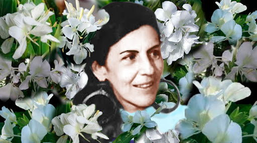 Celia y las flores