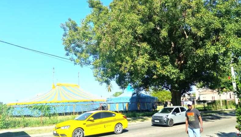 Circo Nacional de Cuba despliega su Carpa Azul en el habanero municipio de Cerro 