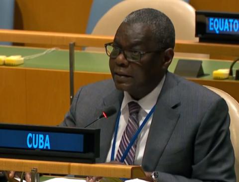 Designan representante para coordinar Presidencia del G-77+China
