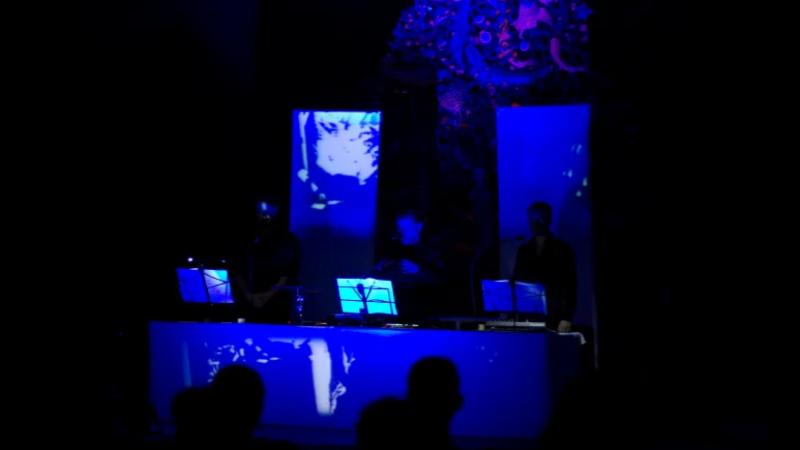 Música visual en convocatoria de Casa de las Américas