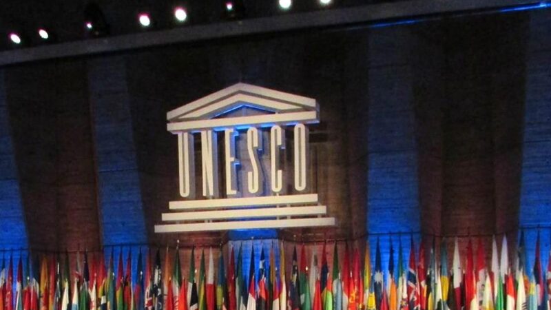 Unesco apuesta por uso responsable de las plataformas digitales