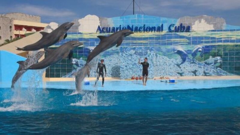 Recibirá Acuario Nacional de Cuba Jornada Científica Infantil