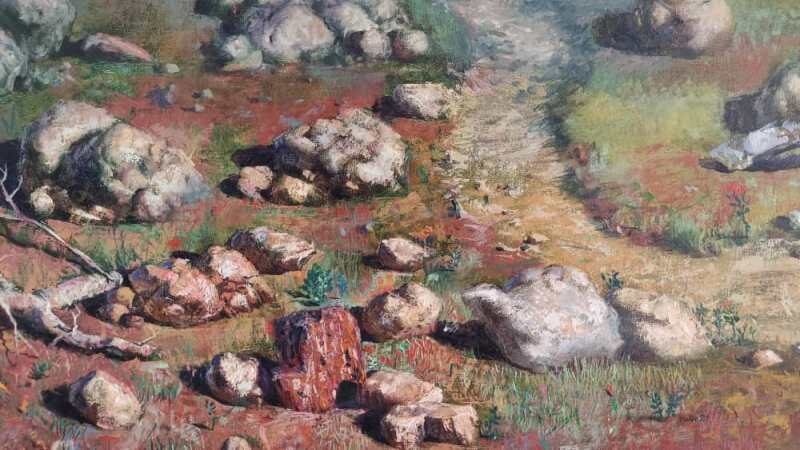 Los colores en tierra de nadie