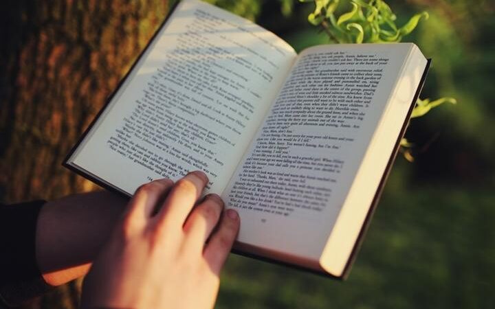 Llega la Feria del Libro a Holguín