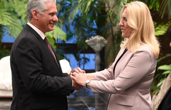 Recibe Díaz-Canel a Presidenta de Bosnia y Herzegovina