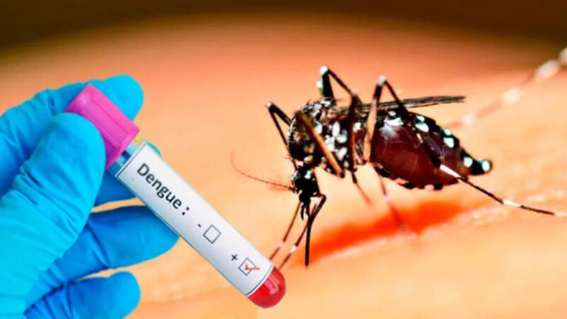 Inicia Cuba estudios preclínicos de vacuna contra el dengue