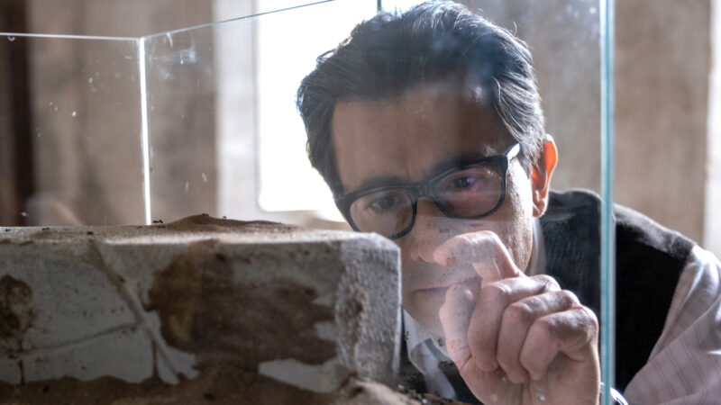 Finaliza hoy VI Festival de Cine Europeo