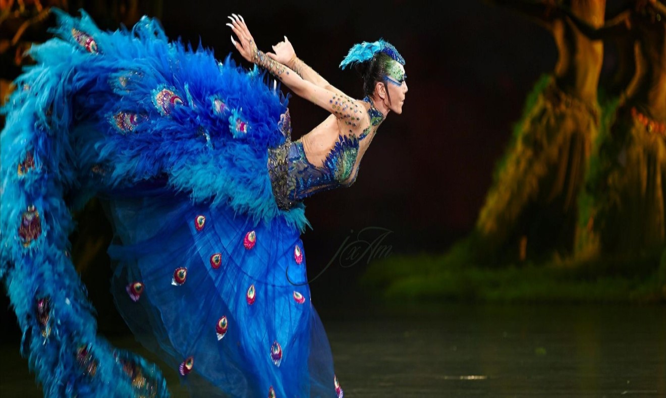 Para compartir y expresar emociones, Día Internacional de la Danza