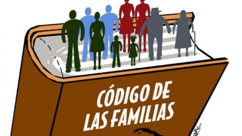 Evalúan de satisfactoria implementación de Código de Familias en Cuba