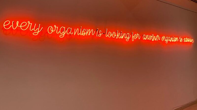 El arte de Koen Vanmechelen