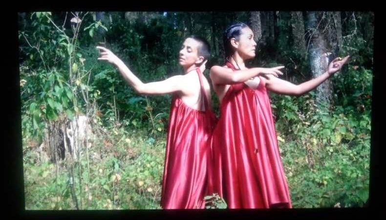 Videodanza en espacios latentes seleccionados por Ana Baer 