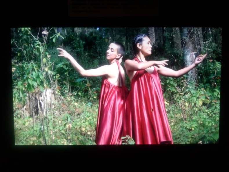 Videodanza en espacios latentes seleccionados por Ana Baer