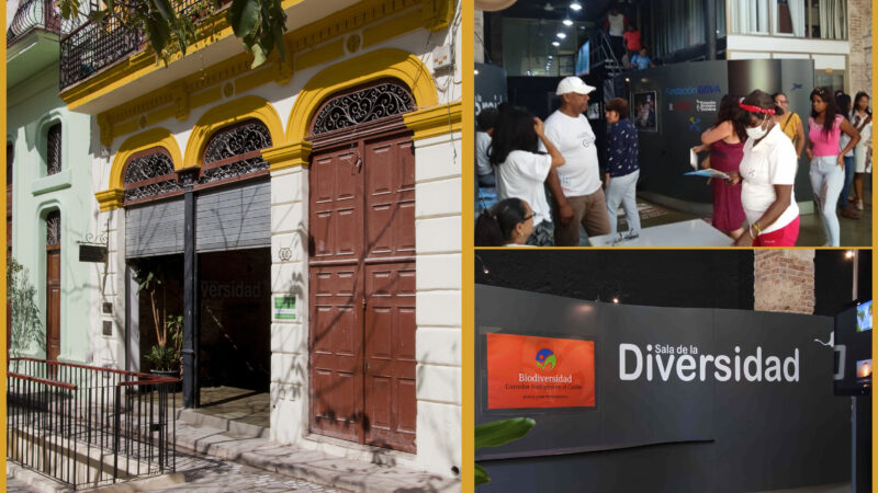 Patrimonio, Comunidad y Medio Ambiente