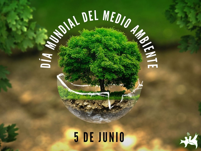 Acogerá Cienfuegos acto central por el Día Mundial del Medio Ambiente