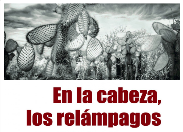 Antología En la cabeza, los relámpagos, de Mery Yolanda Sánchez