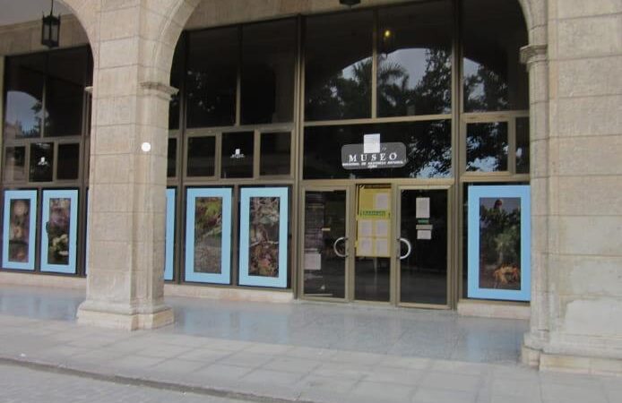Dan a conocer programación de verano del Museo Nacional de Historia Natural