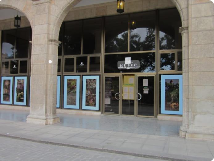 Dan a conocer programación de verano del Museo Nacional de Historia Natural