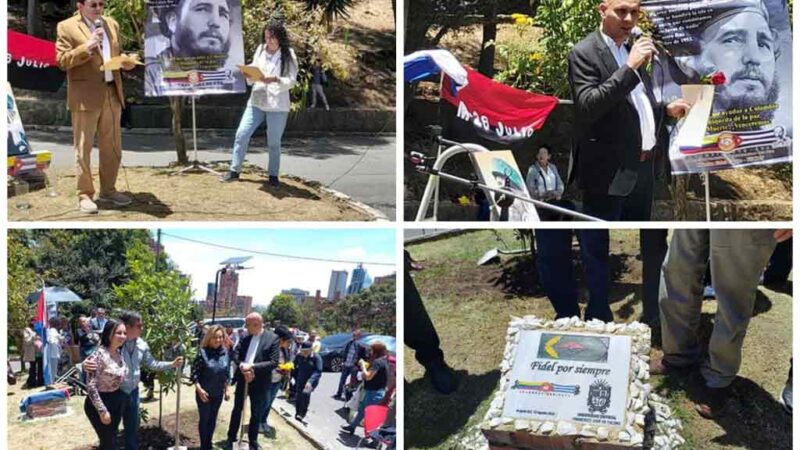 Plantan en Colombia un roble para el líder de la Revolución cubana