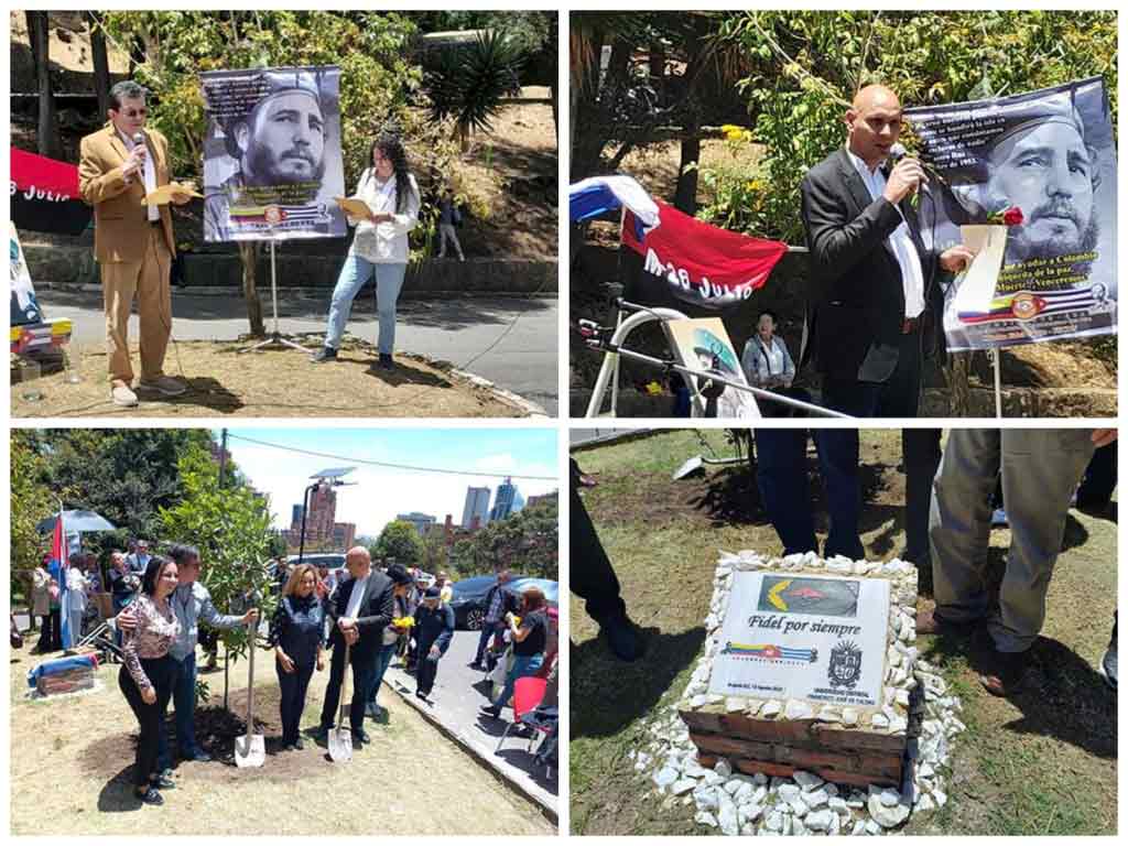 Plantan en Colombia un roble para el líder de la Revolución cubana