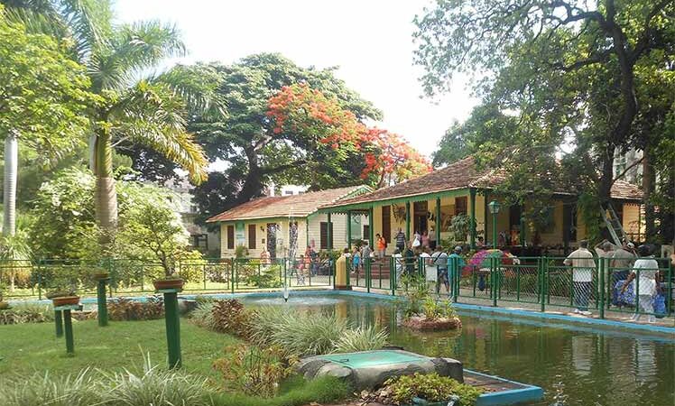 Plantas ornamentales en Rutas y Andares 2023