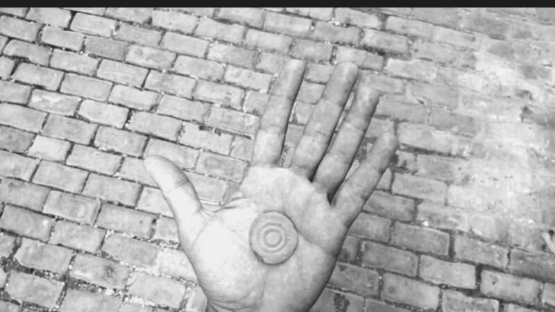 Acogerá Centro de Arte Contemporáneo Wifredo Lam exposición de Felipe Dulzaides