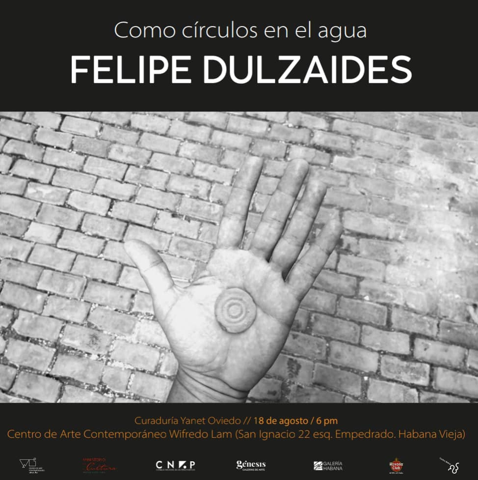 Acogerá Centro de Arte Contemporáneo Wifredo Lam exposición de Felipe Dulzaides