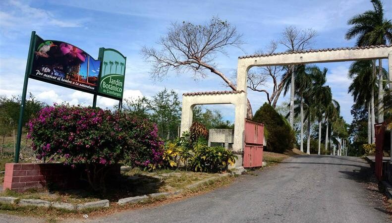 Jardín Botánico de Cienfuegos, maravilla floral en el centro de Cuba