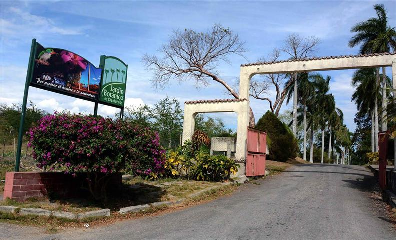 Jardín Botánico de Cienfuegos, maravilla floral en el centro de Cuba