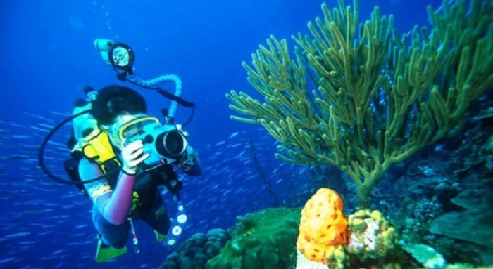 Acogerá Varadero Campeonato Mundial de Fotografía Subacuática