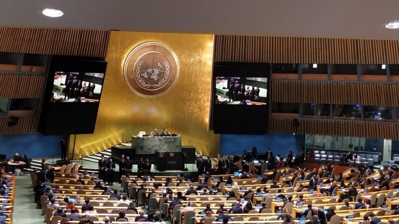 Cuba electa miembro del Consejo de Derechos Humanos de la ONU
