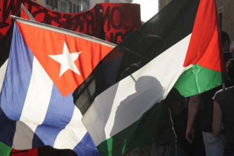 Organizaciones de la sociedad civil cubana apoyan a Palestina