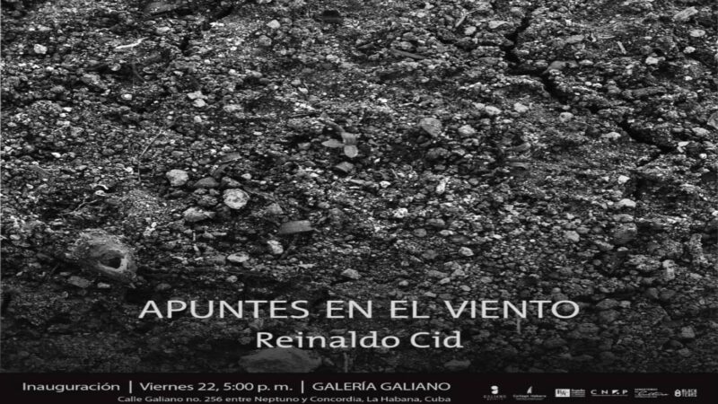 Apuntes en el viento, muestra personal del joven fotógrafo Reinaldo Cid en la Galería Galiano