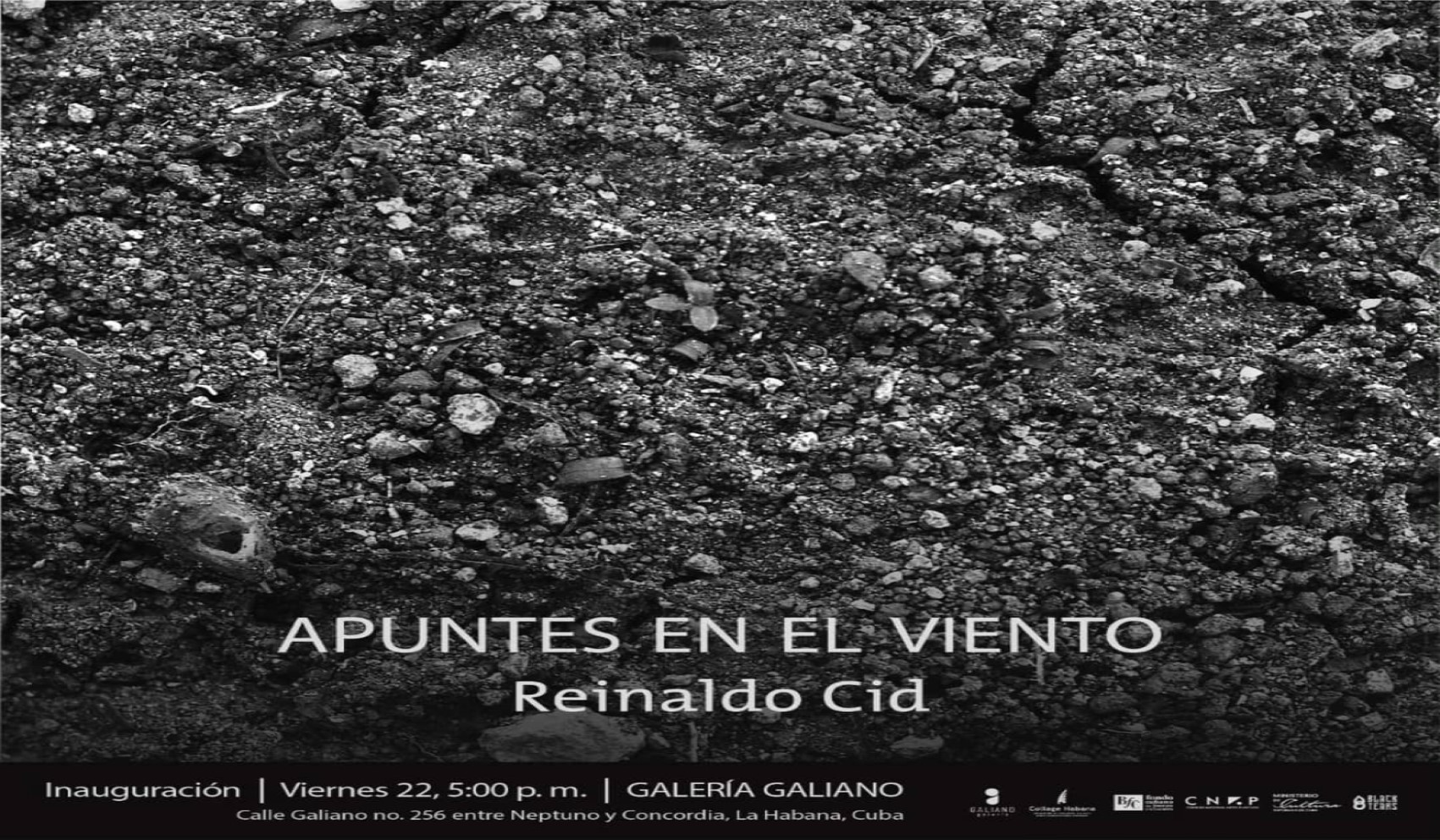 Apuntes en el viento, muestra personal del joven fotógrafo Reinaldo Cid en la Galería Galiano