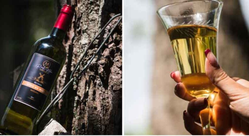 Fortalecen en Cuba empresas productoras de vinos