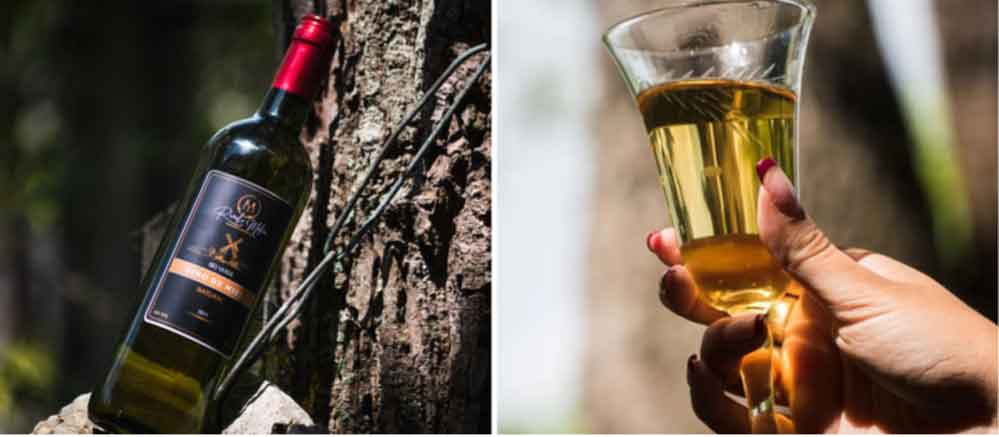 Fortalecen en Cuba empresas productoras de vinos