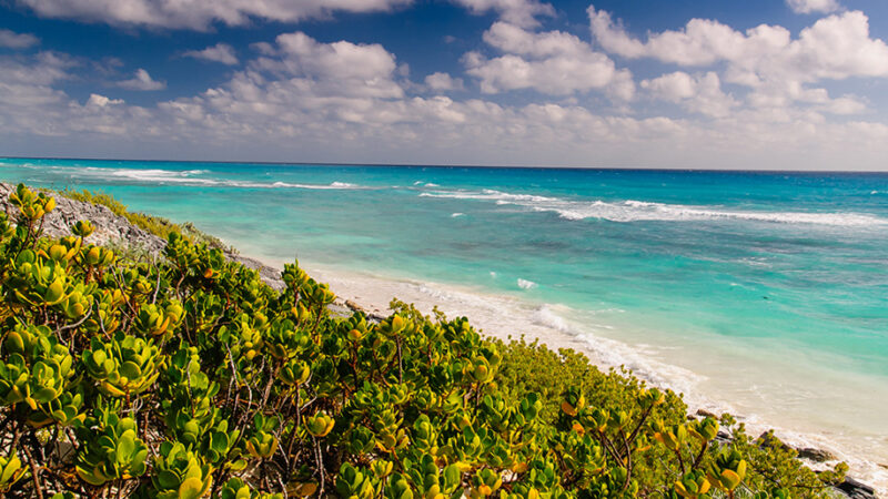 Tendrá carácter competitivo el Festival Isla Verde